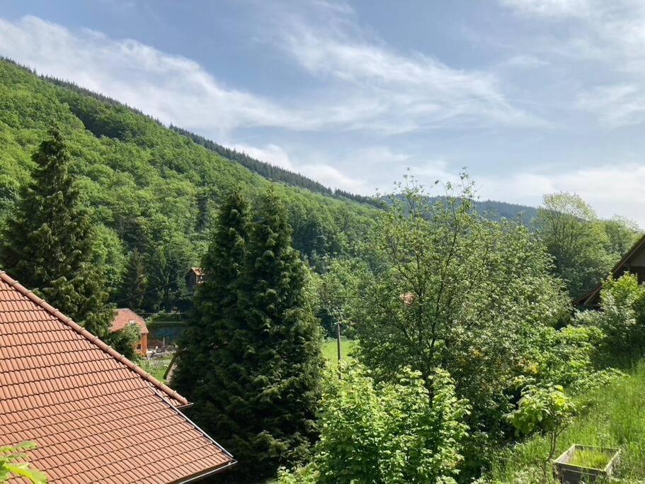 La Belle Vallee Lalaye Luaran gambar
