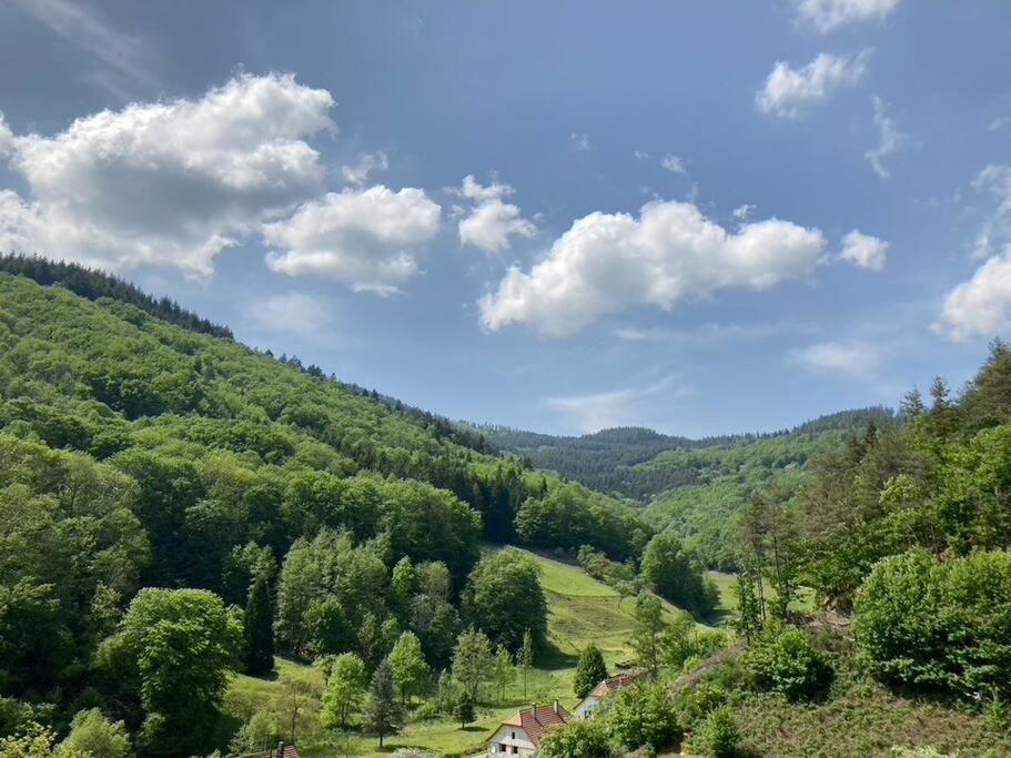 La Belle Vallee Lalaye Luaran gambar